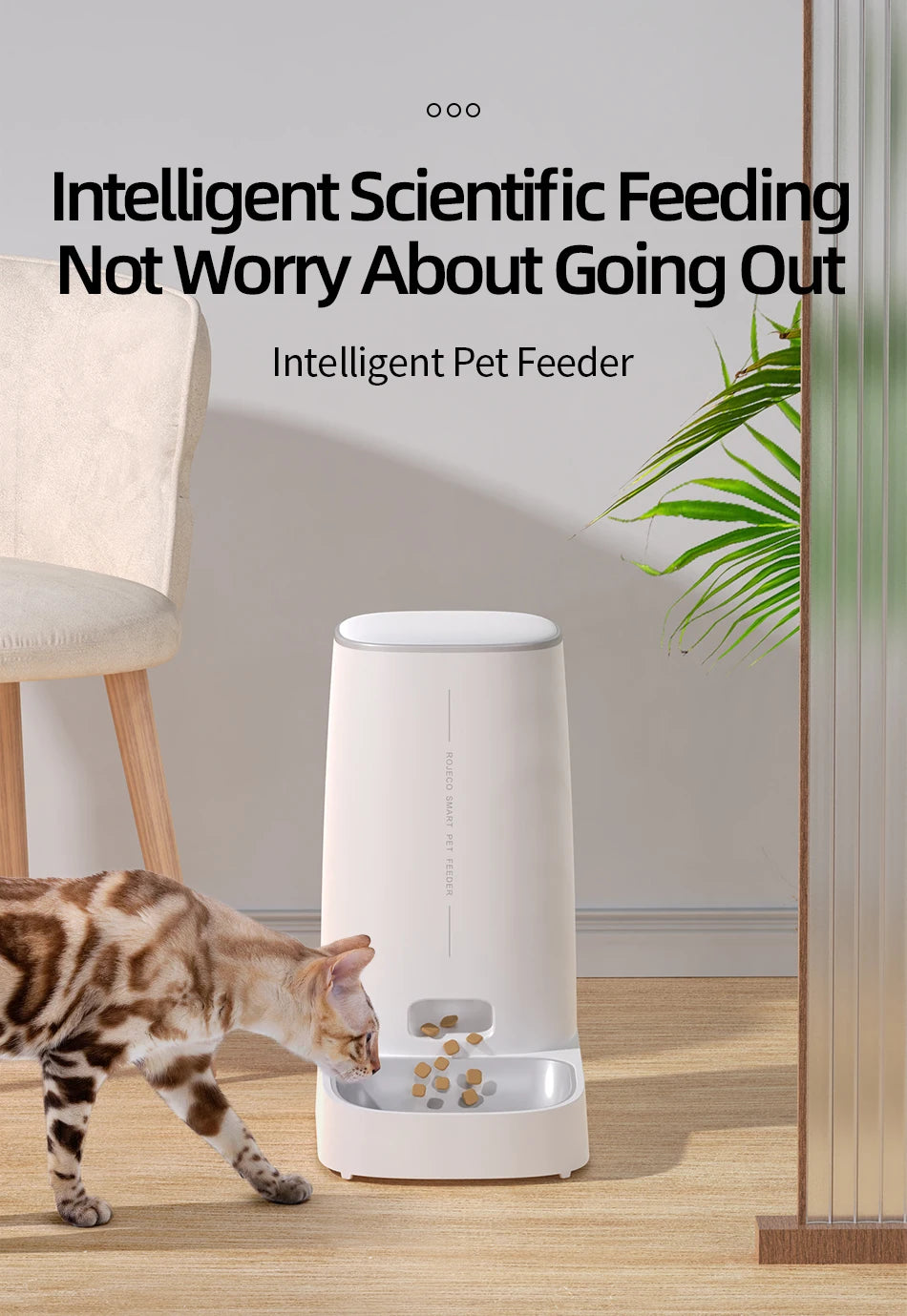 Premium Kibble Food Dispenser