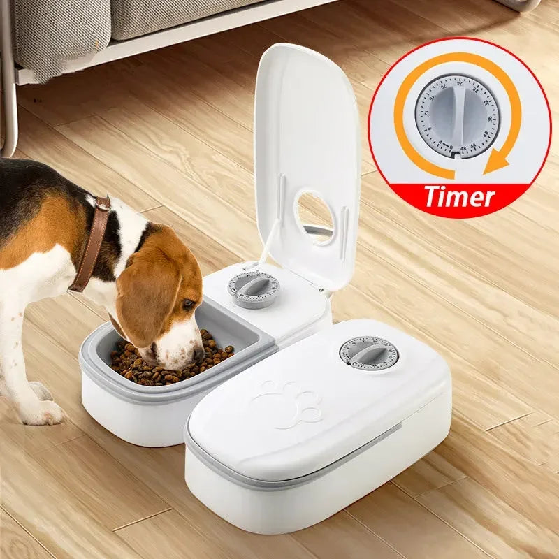 Timing Dry & Wet Food Feeder