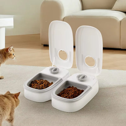 Timing Dry & Wet Food Feeder