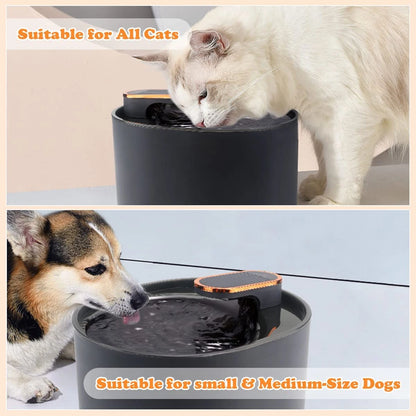 3L Ultra Silent Water Fountain with Motion Sensors & LED Lights